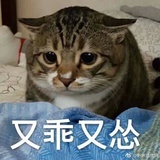elexe
