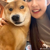 你是我的年少