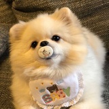 何怂怂