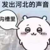 阿七