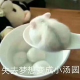 鸡笼警告