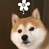 是我呀