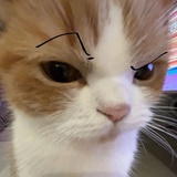 于十