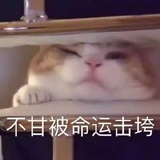 辛苦了