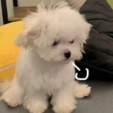 多喝热水啦啦啦