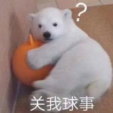 学点儿什么