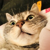 Soso