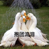 未命名