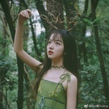 风月无边