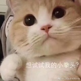 没想好