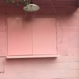 蓮