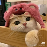 听得到～