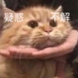祖传欧洲血统
