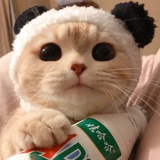 为了不被认出