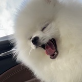早睡早起