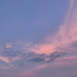 椿浅浅