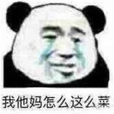 hyzlsdm