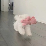 糖粥的大舅