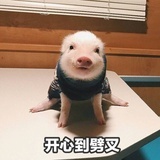 雏形形色色