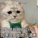 兔咪小乖娜