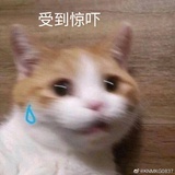 尚听艺