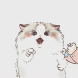 沐沐