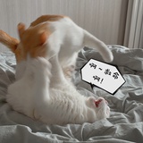 姜姜姜姜～