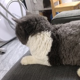 不要影响我