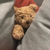 牛牛