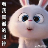 来自未来的我