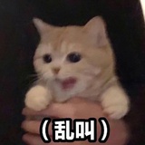 冰糖肥肠