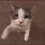 青丞^O^