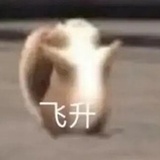 我的世界