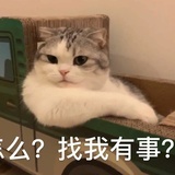 夸父逐不到