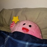 Peachbearii