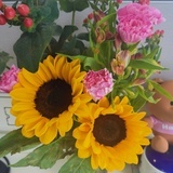 老蕾
