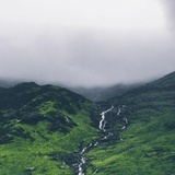 頋暘
