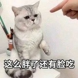 汐意不南