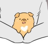 星星会自己落下