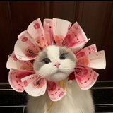 好了