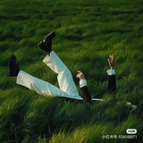 青绿蓝靛
