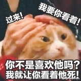 雁塔全智贤