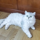 槿川妈咪