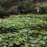 如是我闻
