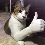 俺不中嘞🤭