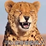 芦芦芦芦芦