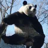 知行合一