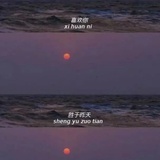 周舟小可爱
