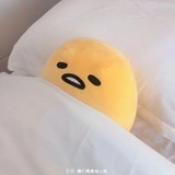 嘻嘻20专家