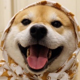 朗清